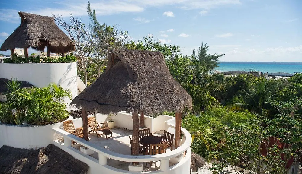 Hotel Blue Parrot On 5Th Avenue Playa del Carmen