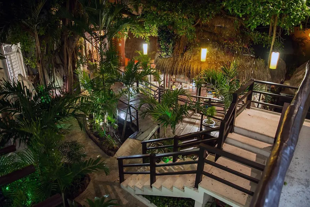 Blue Parrot On 5Th Avenue Hotel Playa del Carmen